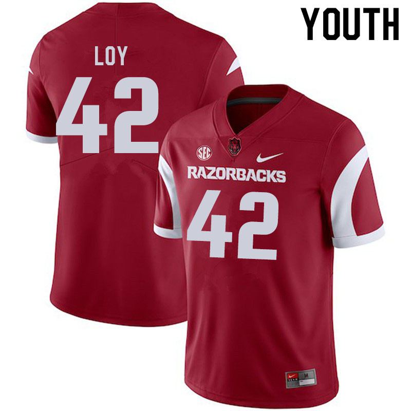 Youth #42 Sam Loy Arkansas Razorbacks College Football Jerseys Sale-Cardinal - Click Image to Close